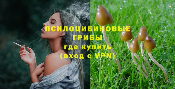 шишки Армянск