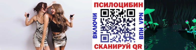 Галлюциногенные грибы Magic Shrooms  Камышлов 